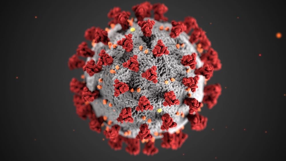 A computerised representation of the COVID 19 virus