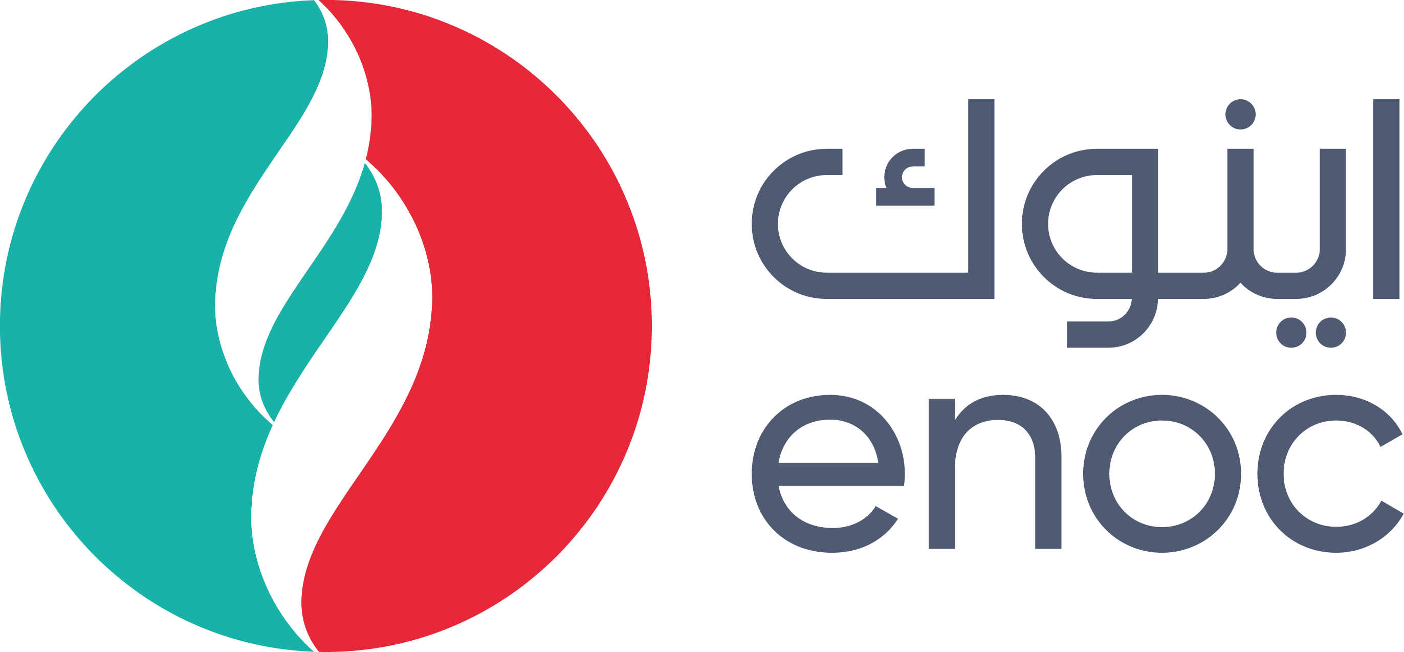 Organisation logo
