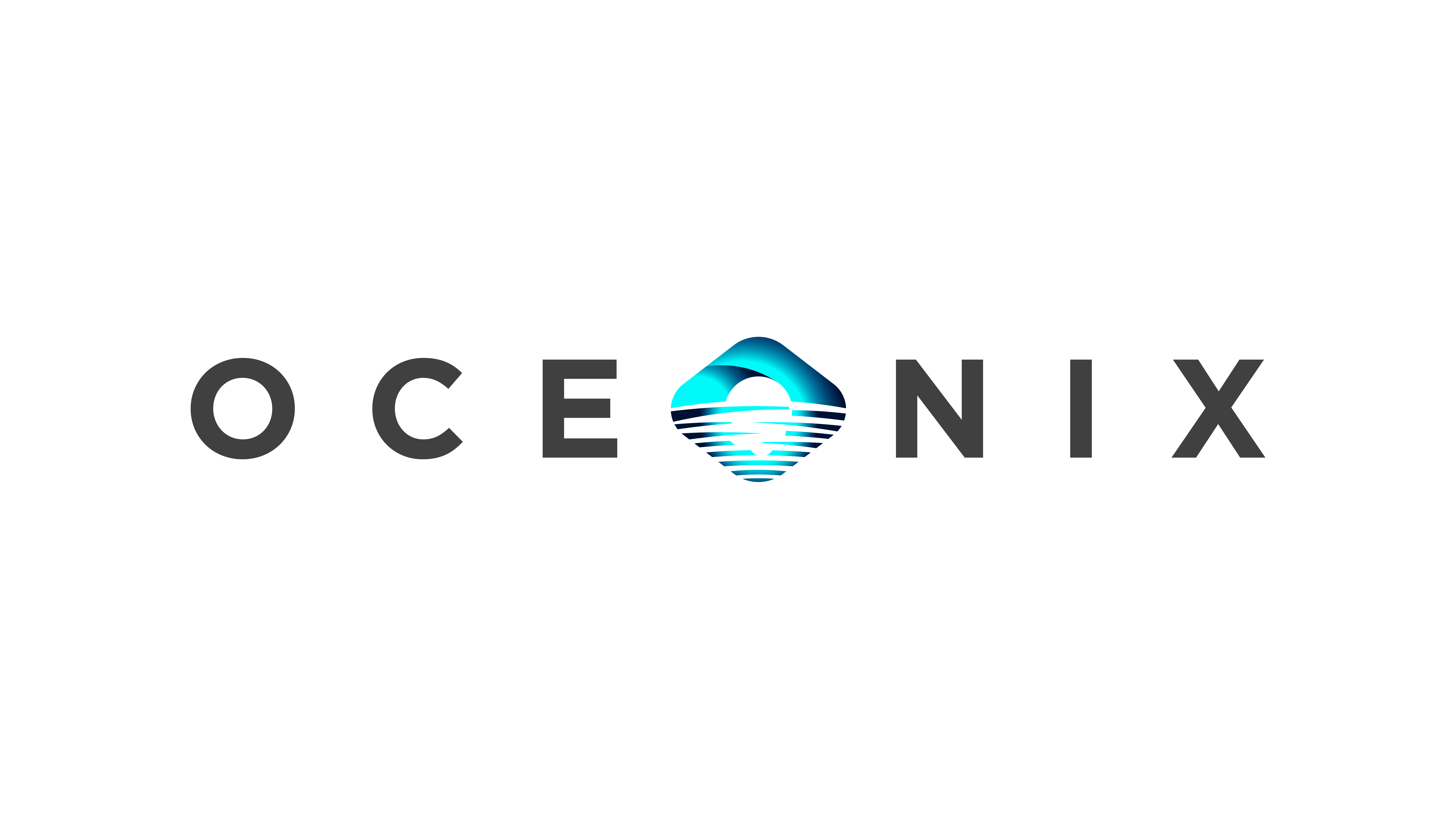 Organisation logo