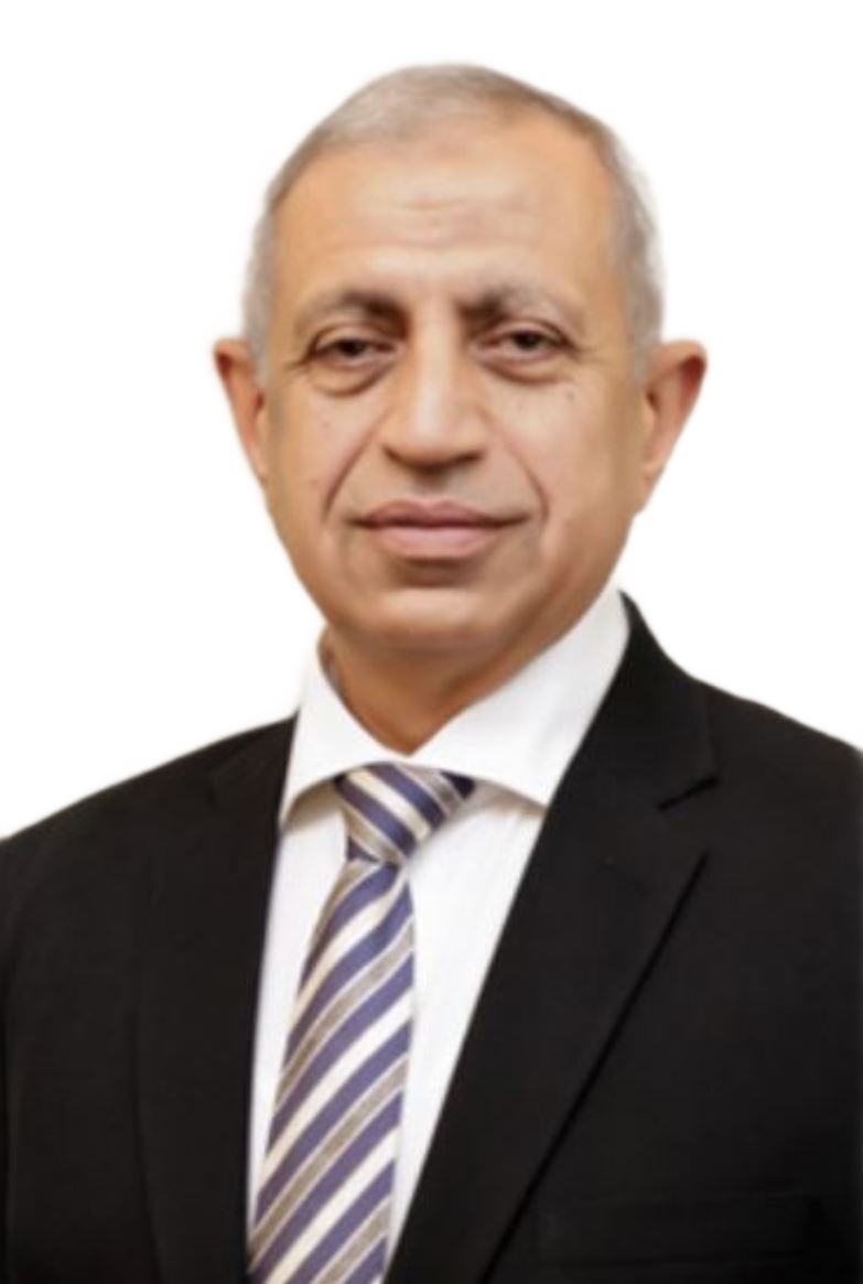 Ismail Abdel Ghafar Ismail Farag